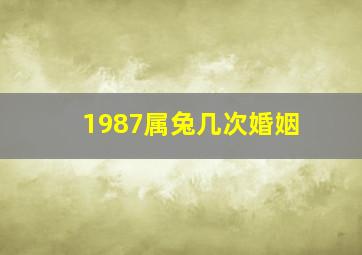 1987属兔几次婚姻