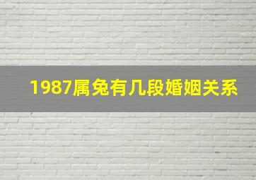 1987属兔有几段婚姻关系