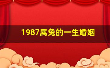 1987属兔的一生婚姻