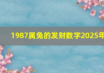 1987属兔的发财数字2025年