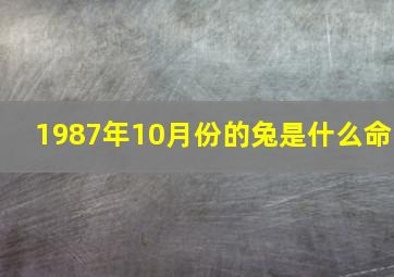 1987年10月份的兔是什么命