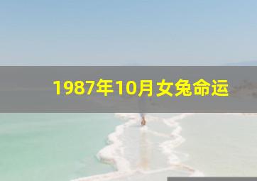 1987年10月女兔命运