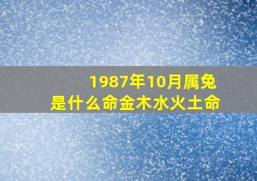 1987年10月属兔是什么命金木水火土命