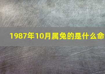 1987年10月属兔的是什么命