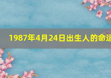 1987年4月24日出生人的命运