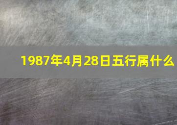 1987年4月28日五行属什么