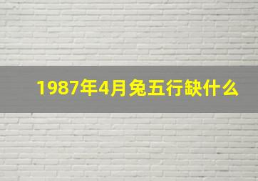 1987年4月兔五行缺什么