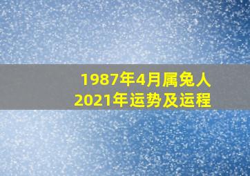 1987年4月属兔人2021年运势及运程