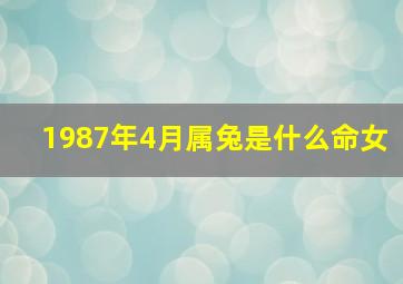 1987年4月属兔是什么命女