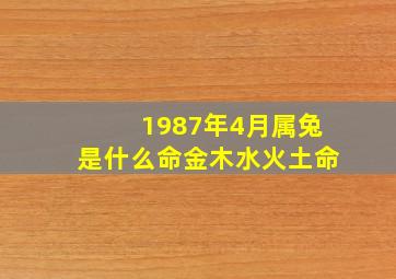 1987年4月属兔是什么命金木水火土命