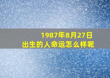 1987年8月27日出生的人命运怎么样呢