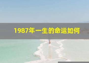 1987年一生的命运如何