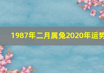 1987年二月属兔2020年运势