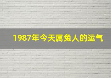 1987年今天属兔人的运气