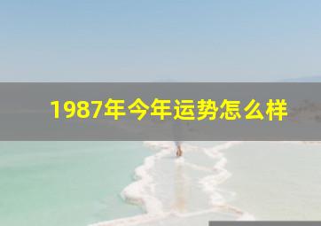 1987年今年运势怎么样