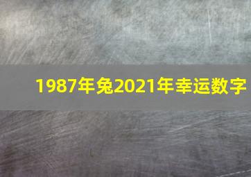 1987年兔2021年幸运数字