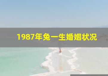 1987年兔一生婚姻状况