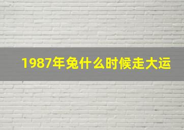 1987年兔什么时候走大运