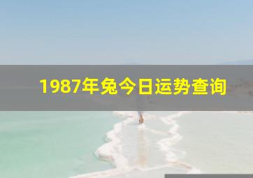 1987年兔今日运势查询