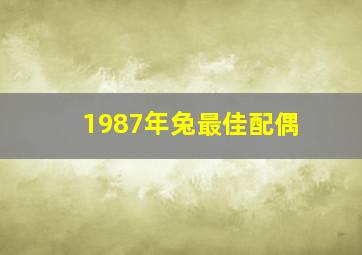 1987年兔最佳配偶