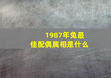 1987年兔最佳配偶属相是什么