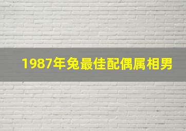 1987年兔最佳配偶属相男