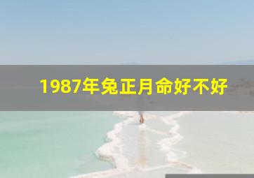 1987年兔正月命好不好