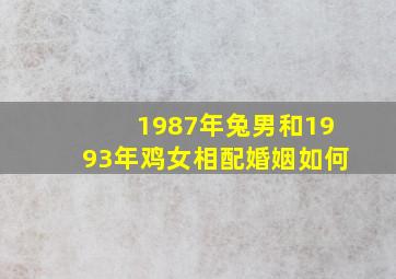 1987年兔男和1993年鸡女相配婚姻如何