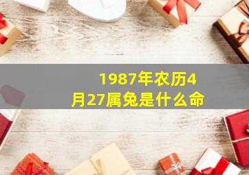 1987年农历4月27属兔是什么命