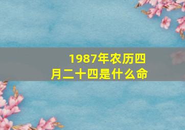 1987年农历四月二十四是什么命