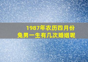 1987年农历四月份兔男一生有几次婚姻呢