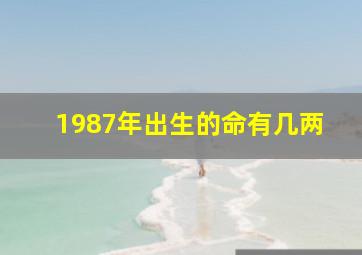 1987年出生的命有几两