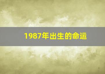 1987年出生的命运