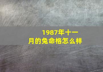 1987年十一月的兔命格怎么样