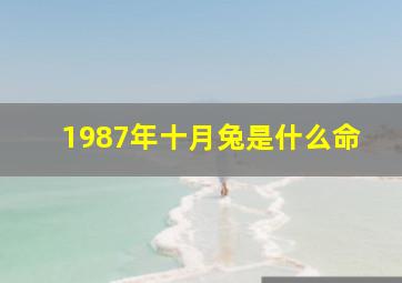 1987年十月兔是什么命