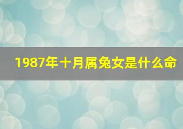 1987年十月属兔女是什么命