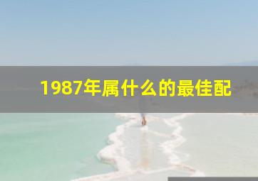 1987年属什么的最佳配