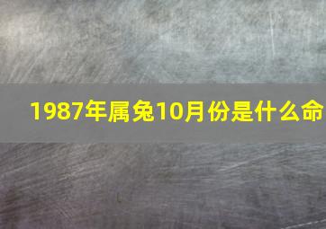 1987年属兔10月份是什么命