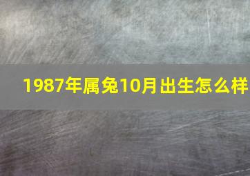 1987年属兔10月出生怎么样