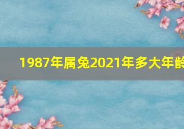 1987年属兔2021年多大年龄