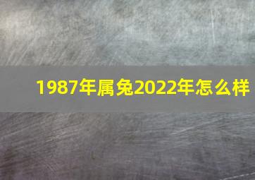 1987年属兔2022年怎么样