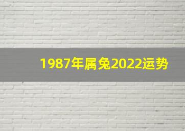 1987年属兔2022运势