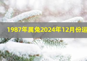 1987年属兔2024年12月份运势