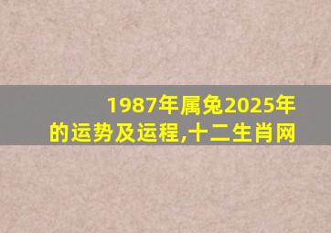 1987年属兔2025年的运势及运程,十二生肖网