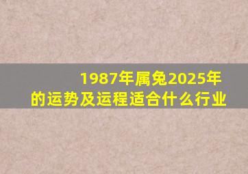 1987年属兔2025年的运势及运程适合什么行业