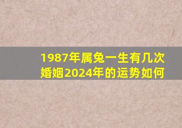 1987年属兔一生有几次婚姻2024年的运势如何