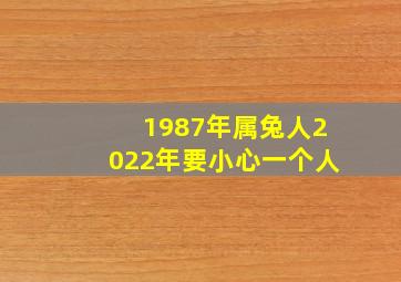 1987年属兔人2022年要小心一个人