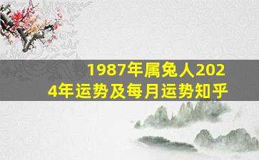 1987年属兔人2024年运势及每月运势知乎