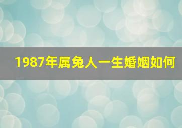 1987年属兔人一生婚姻如何