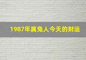 1987年属兔人今天的财运